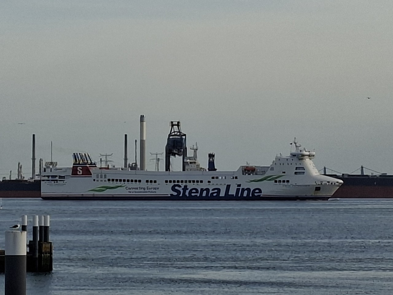 M/F Stena Forerunner
