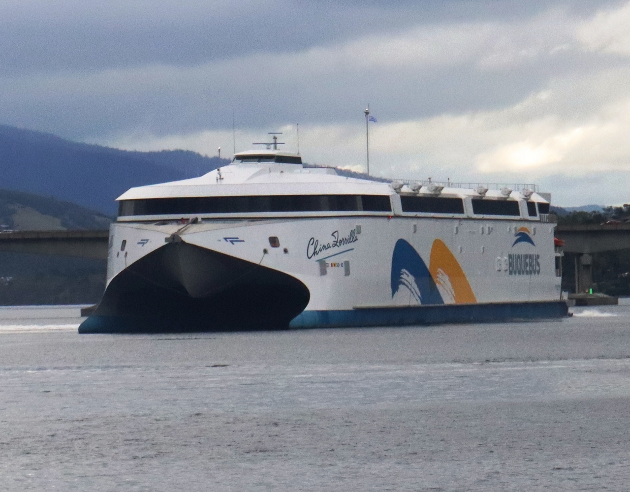 HSC China Zorrilla