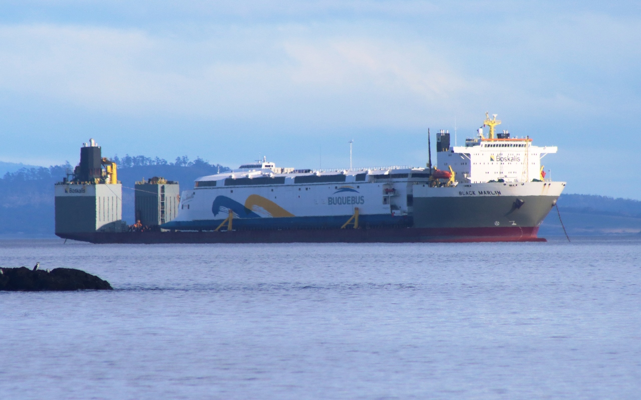 HSC China Zorrilla & M/S Black Marlin